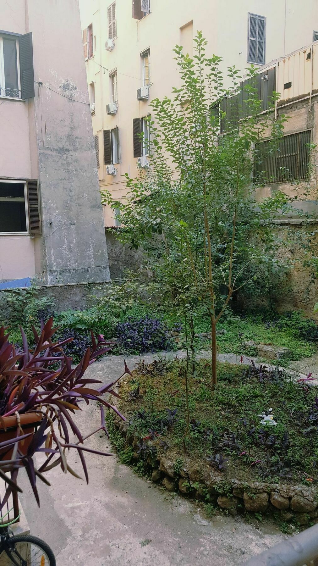 Marcelina Vaticans Rooms Rome Exterior photo